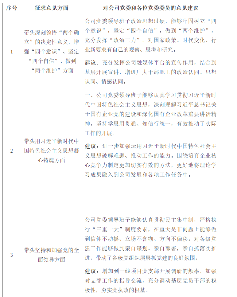 公司党委2024年度民主生活会征求意见表-深度文库