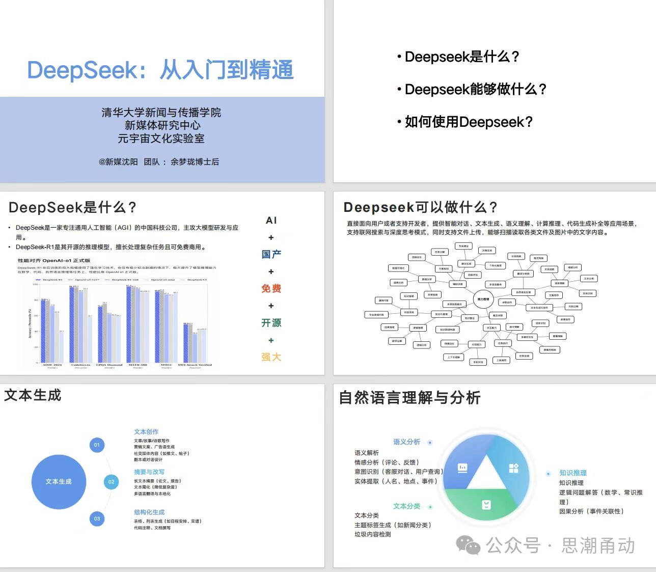 DeepSeek入门到精通-深度文库