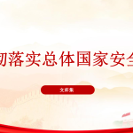 贯彻落实总体国家安全观PPT-文库集